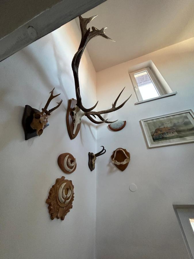 Villa Casa Bunicilor Colonia Sase Martie Esterno foto